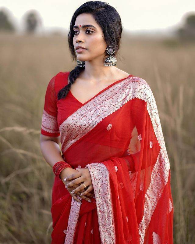 SEEANS Linen Weaving Bollywood Saree | Timeless Vintage Elegance - SEEANS